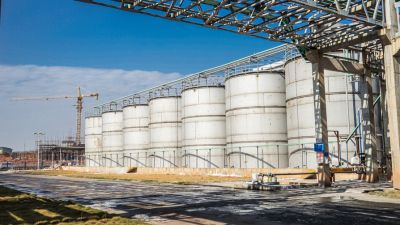 �����������鹤��